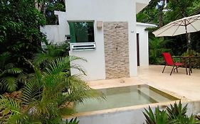 Villa Ixchel Private Pool